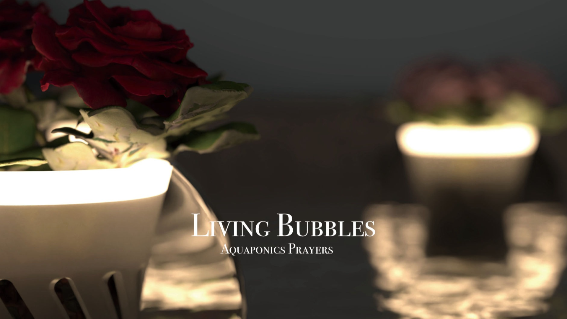Living Bubbles final